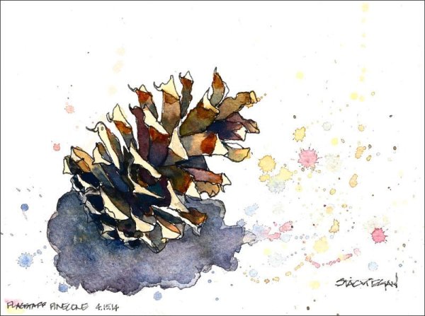 Шишка скетч акварелью