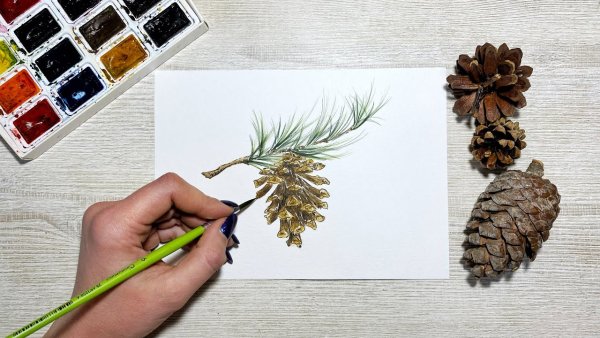 Шишки Акварельные карандаши