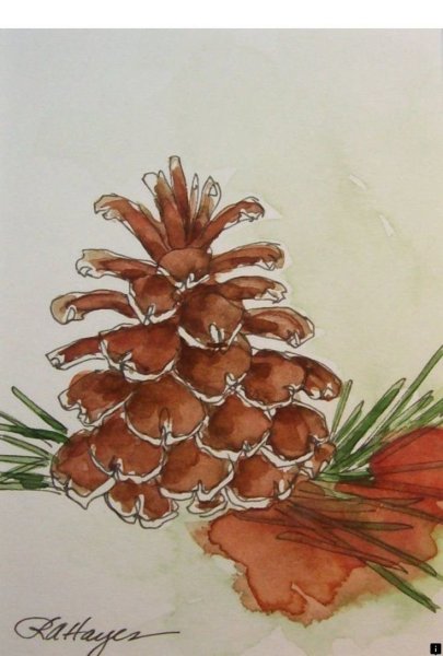 Рисование шишек красками