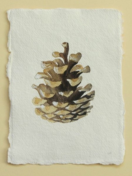 Новогодние шишки акварель