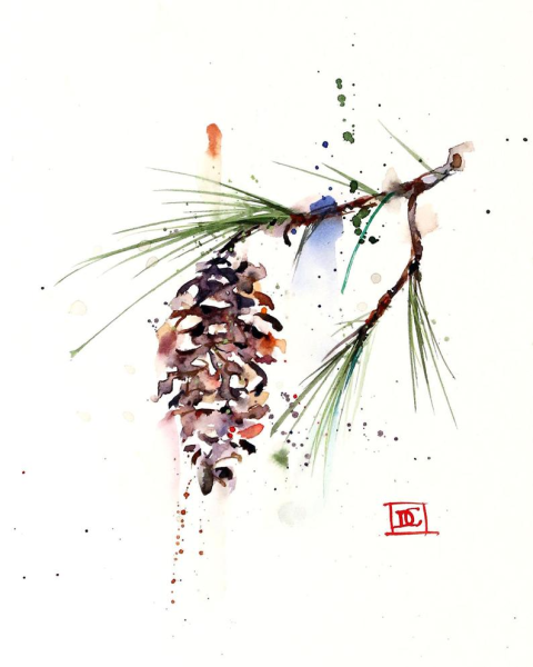 Еловая ветка акварель