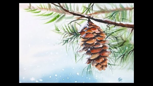 Еловые шишки акварелью