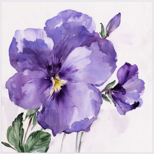 Фиалка сиреневая акварель