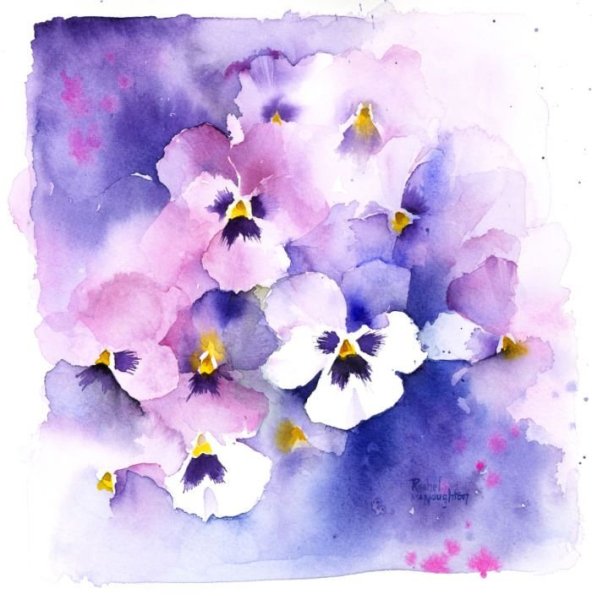 Анютины глазки акварелью