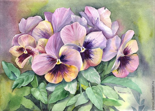 Акварели Татьяны Пловецкой