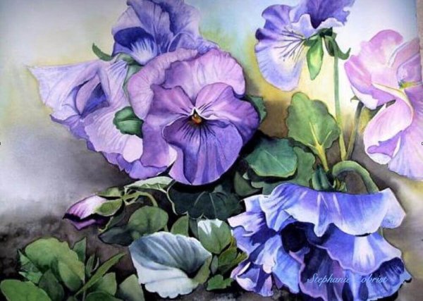 Анютины глазки акварелью