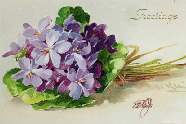 Катарина Кляйн сирень