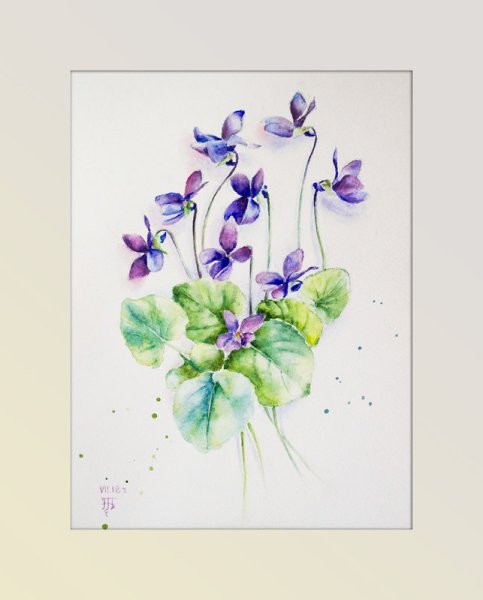 Анютины глазки акварелью по сырому