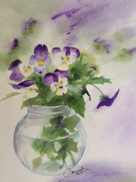 Этюды фиалок