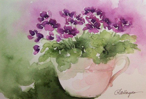 Этюды фиалок