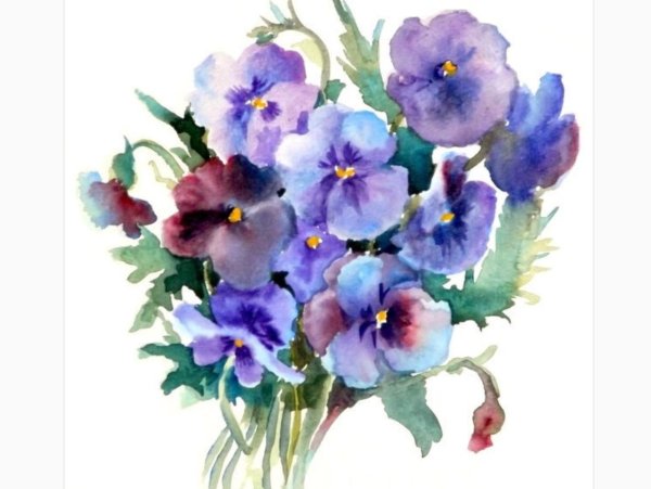 Анютины глазки цветы акварель