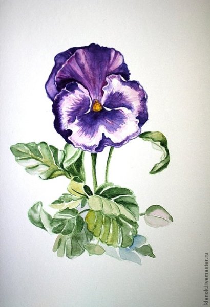 Гуашь Анютины глазки