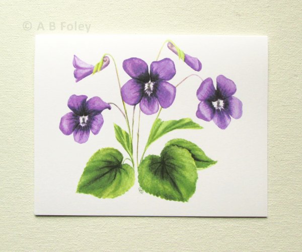 Фиалки акварелью