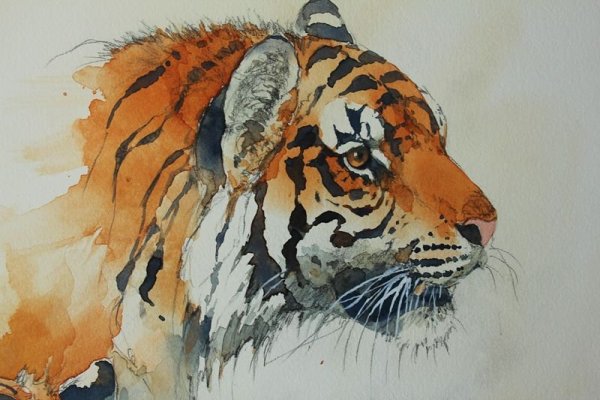 Амурский тигр акварель