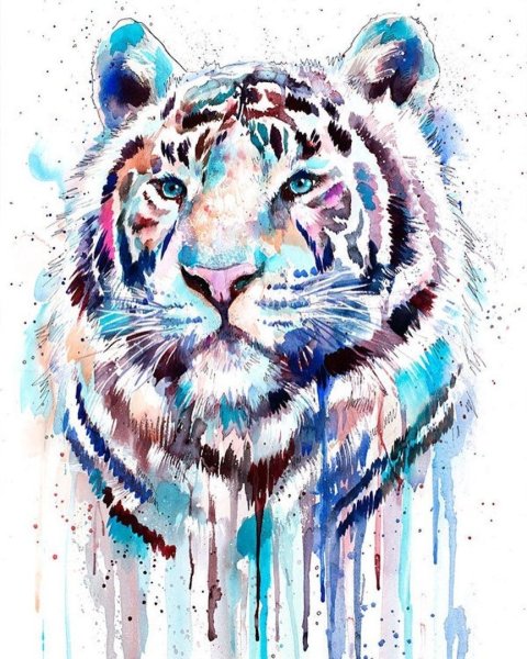 Тигр акварель