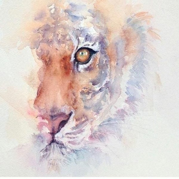 Лев в технике акварель