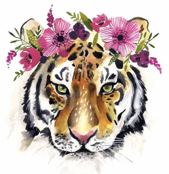 Тигр эскиз в цвете