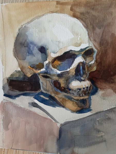Череп акварелью