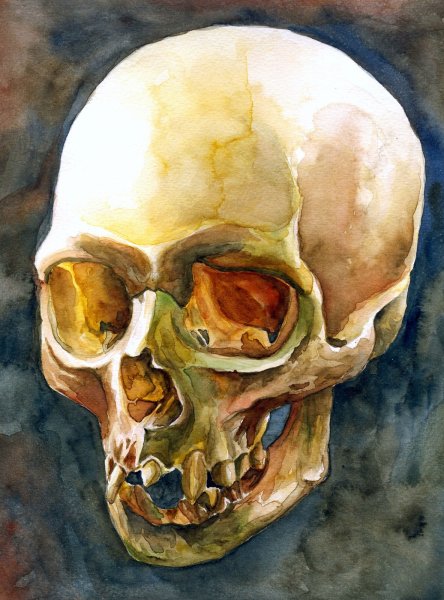 Череп акварелью
