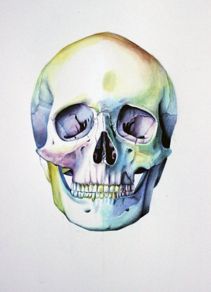 Череп цветными карандашами