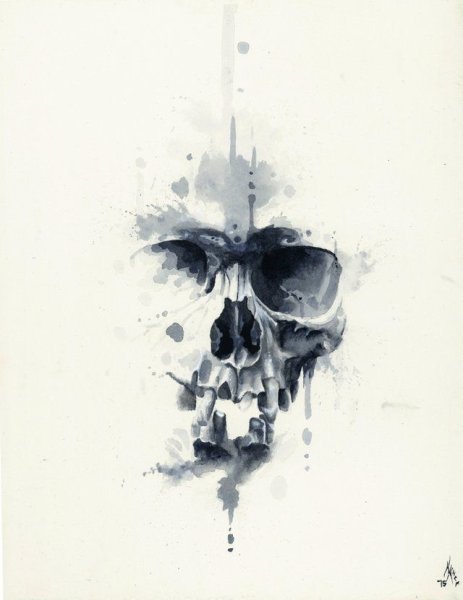 Череп акварель эскиз