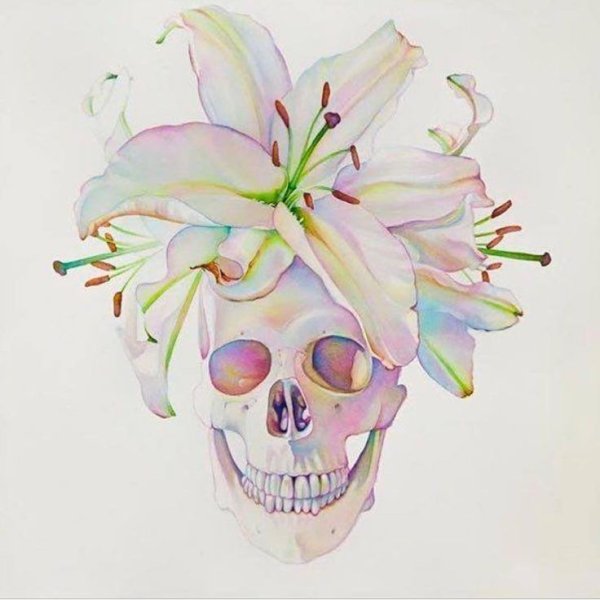Череп с цветами акварель