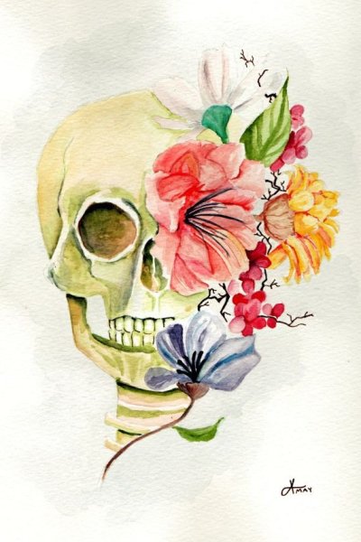 Череп акварелью