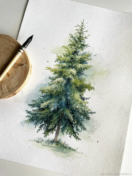 Ель акварелью