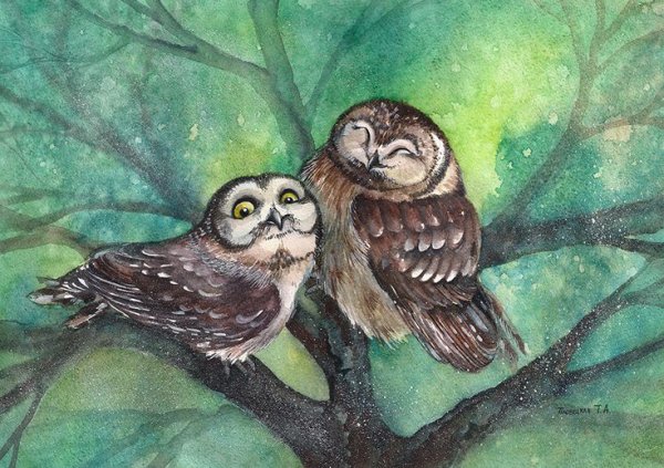 Пейзаж с совой