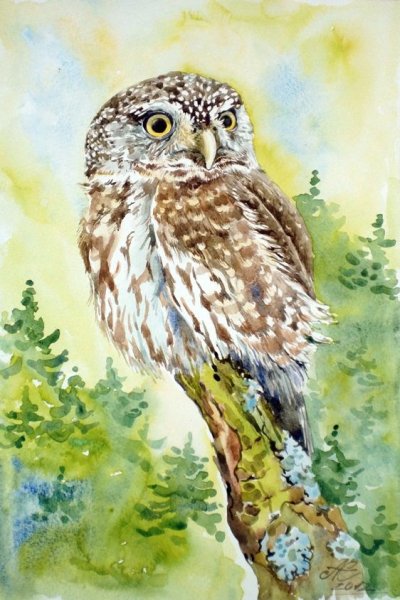 Рисование красками Совушка