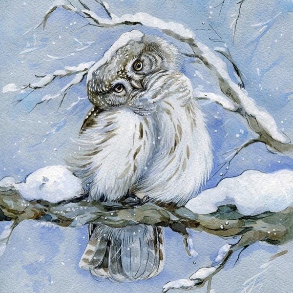 Совенок акварель