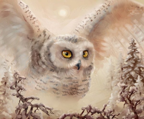 Милые Совята на ветке