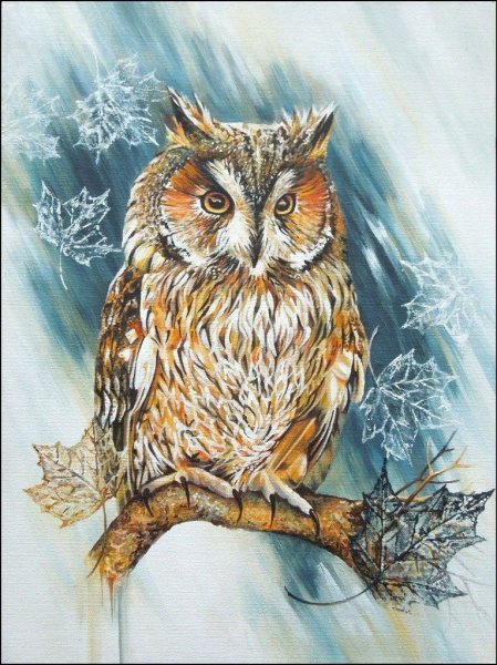 Сыч Сова акварелью