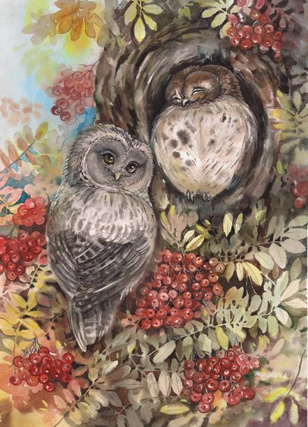 Пловецкая Татьяна птицы