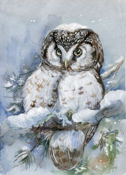 Совы Татьяны Пловецкой