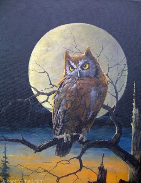 Сыч акварелью