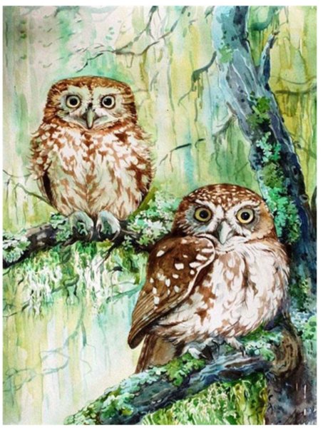 Сова гуашью для детей