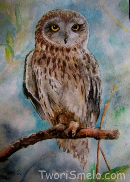 Художник Jane Crowther