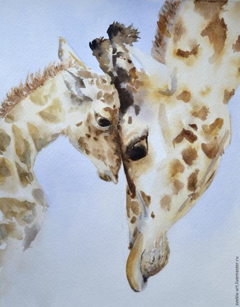 Жирафы акварелью