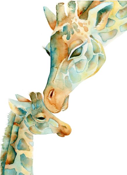 Жираф акварель