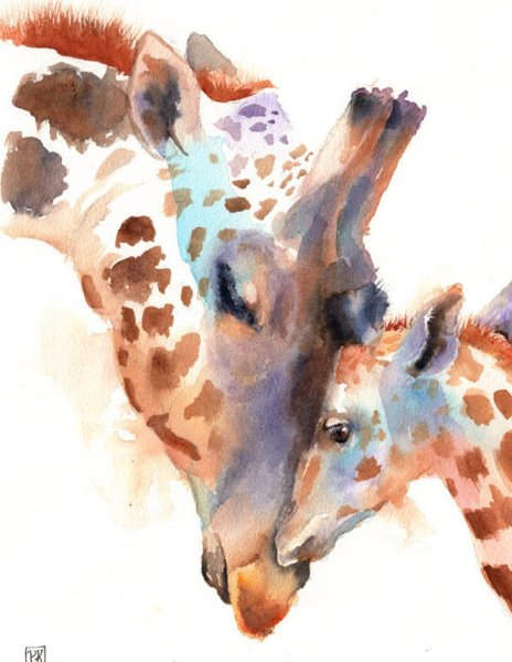 Дэвид Уэбб животные акварелью