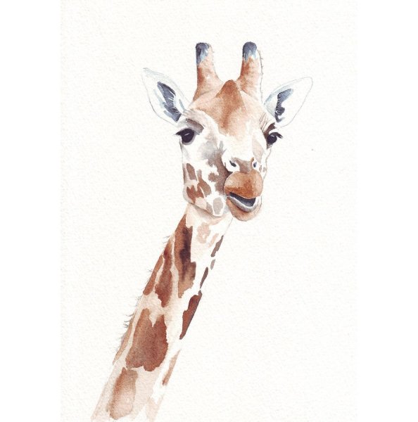 Жирафы акварелью