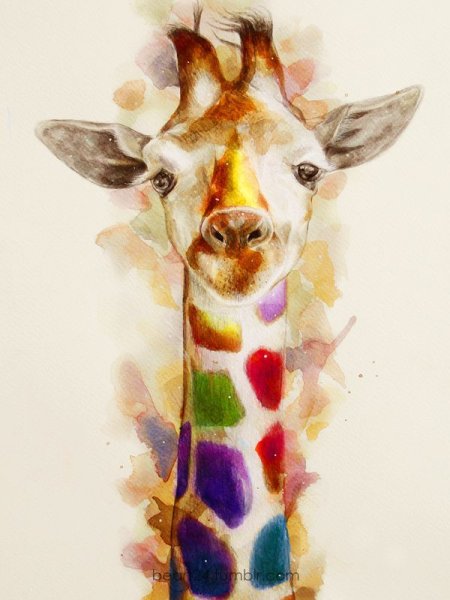 Рисунок жирафа акварелью