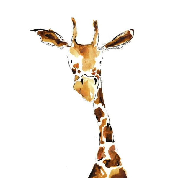 Разноцветный Жираф