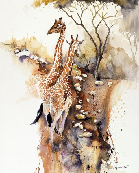 Жираф акварелью на белом фоне
