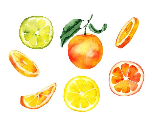 Долька апельсина акварель