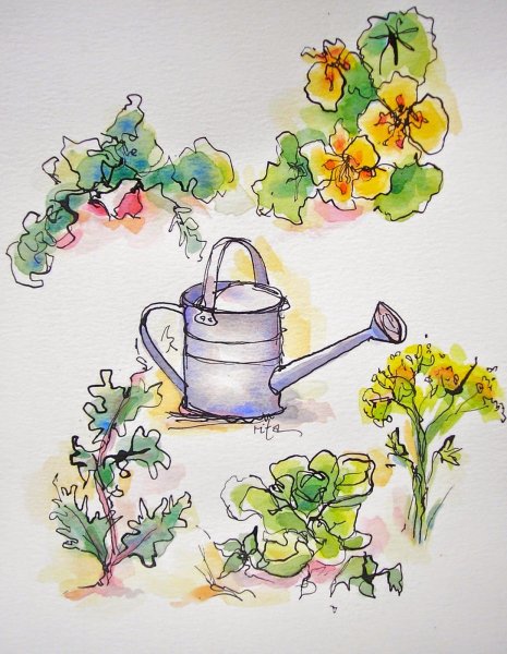 Акварельный скетч цветы