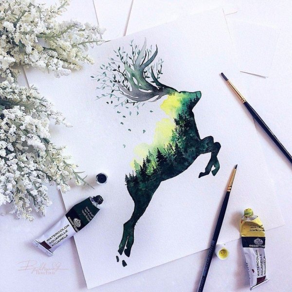 Скетчинг животных