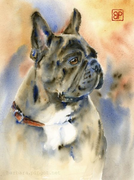 Французский бульдог кубизм