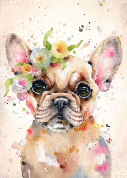 Скетчинг французский бульдог